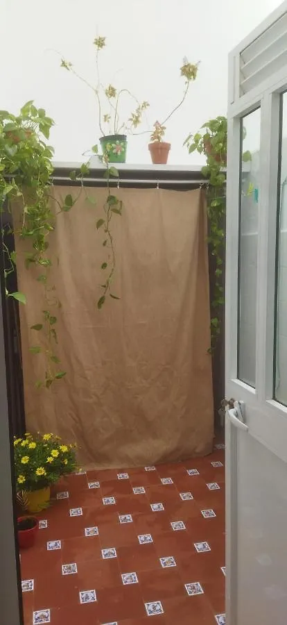 Apartamento Anita Conil Daire Conil De La Frontera İspanya