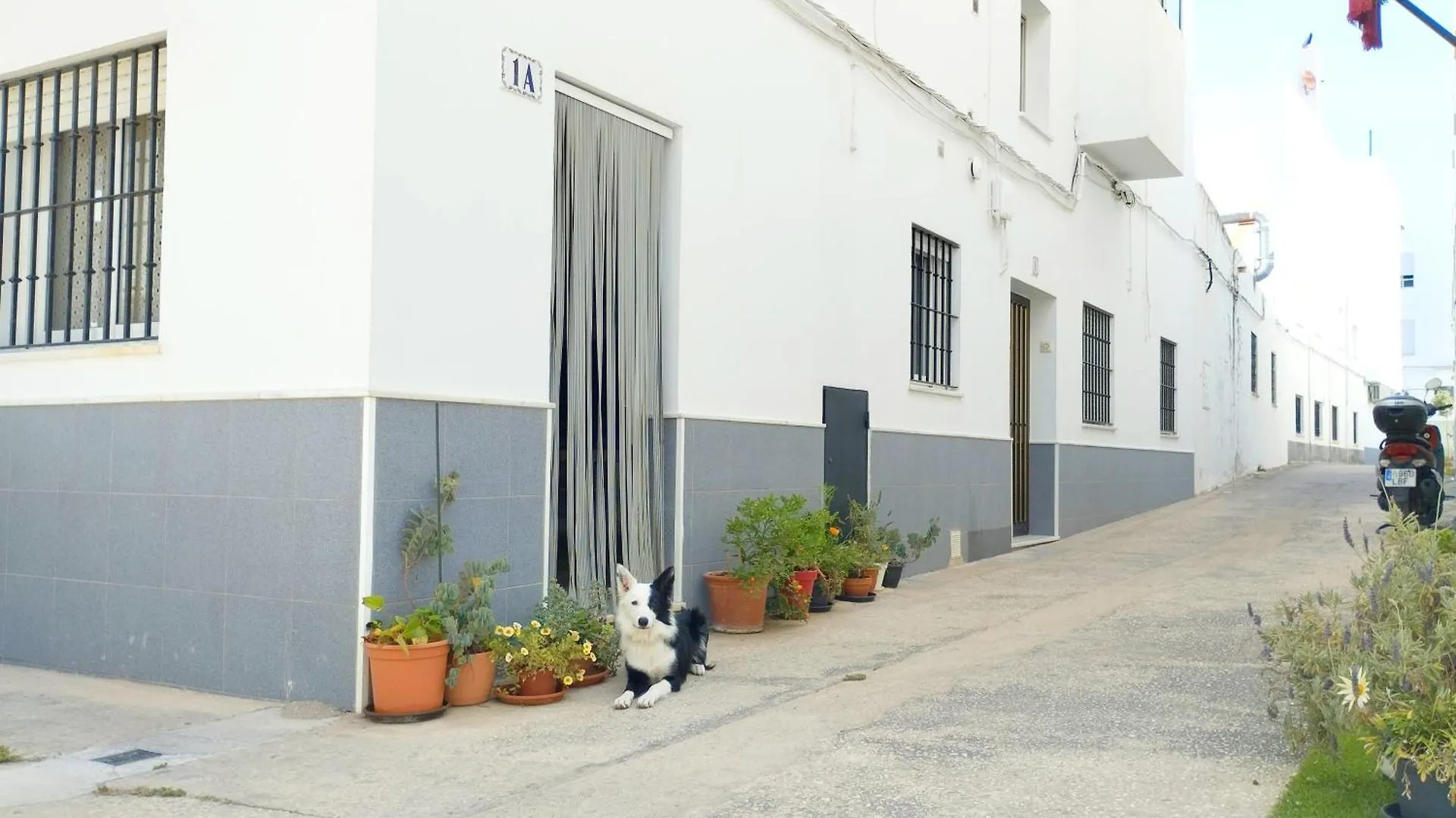 Apartment Apartamento Anita Conil Conil De La Frontera